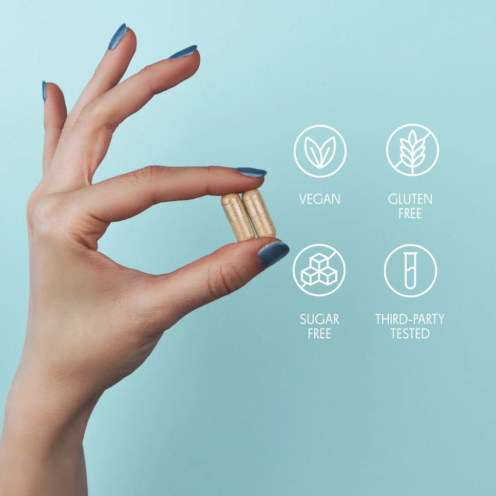 Daily Digest Duo - Image 5