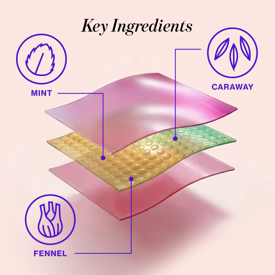 BLOAT* Quick Melt Strips - Image 4